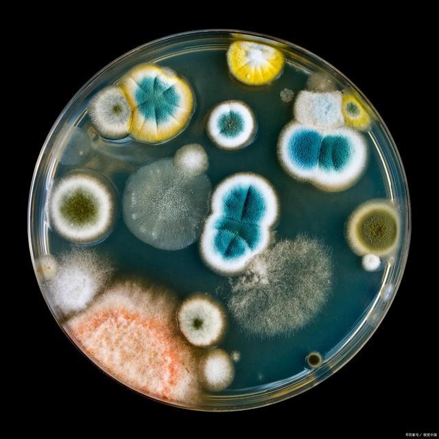 潮湿易滋生细菌微生物，抑菌指南在这里~